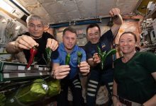 astronautas cosechan ajíes