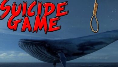 Blue whale game returned again, suicide game killed 18-year-old in Nashik, Maharashtra