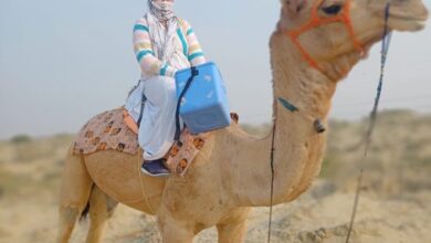 vaccination on camel