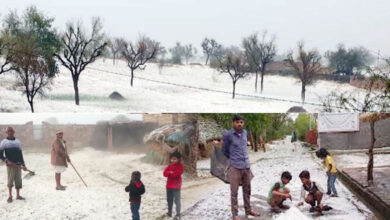A view of Kashmir was seen in Rajasthan, a sheet of snow lying in the fields, the new year will be welcomed by the cold wave