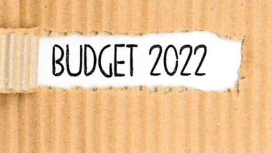 Budget 2022, new in budget 2022, new announcement in budget 2022, what is budget 2022